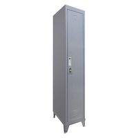 Locker M 1 Cuerpo 1 Puerta(s) 29x166x53 cm Gris