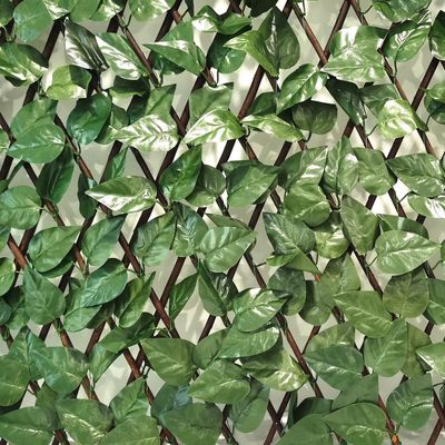 Imagen 2 del producto Jardín vertical artificial treillage extensible Laurel