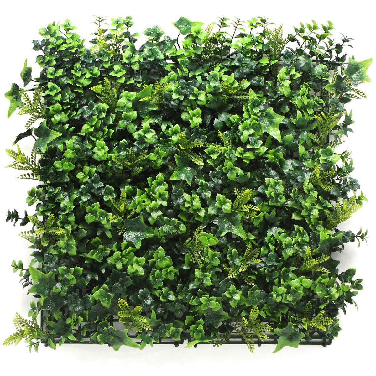 SIGNET CLASSICS - Jardín vertical artificial palmeta Tropical 50x50 cm