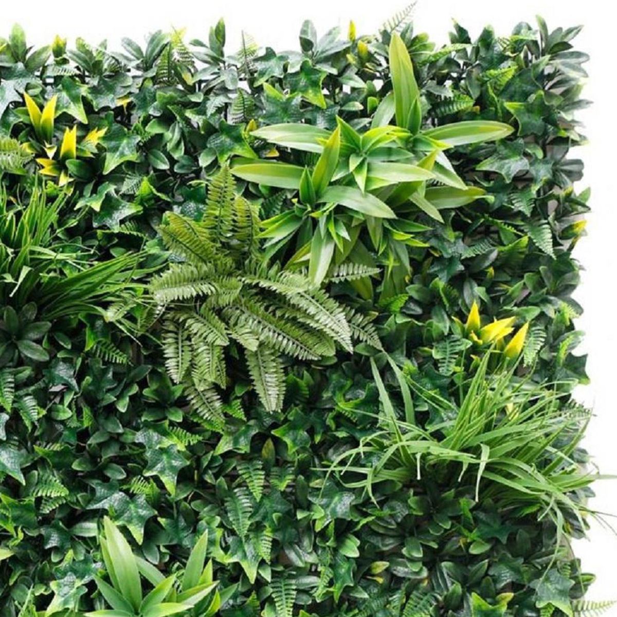 SIGNET CLASSICS - Jardín vertical artificial palmeta Amazonas 100x100 cm