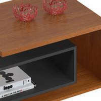 Mesa de Centro Diva Gris 51.5x88x37 cm