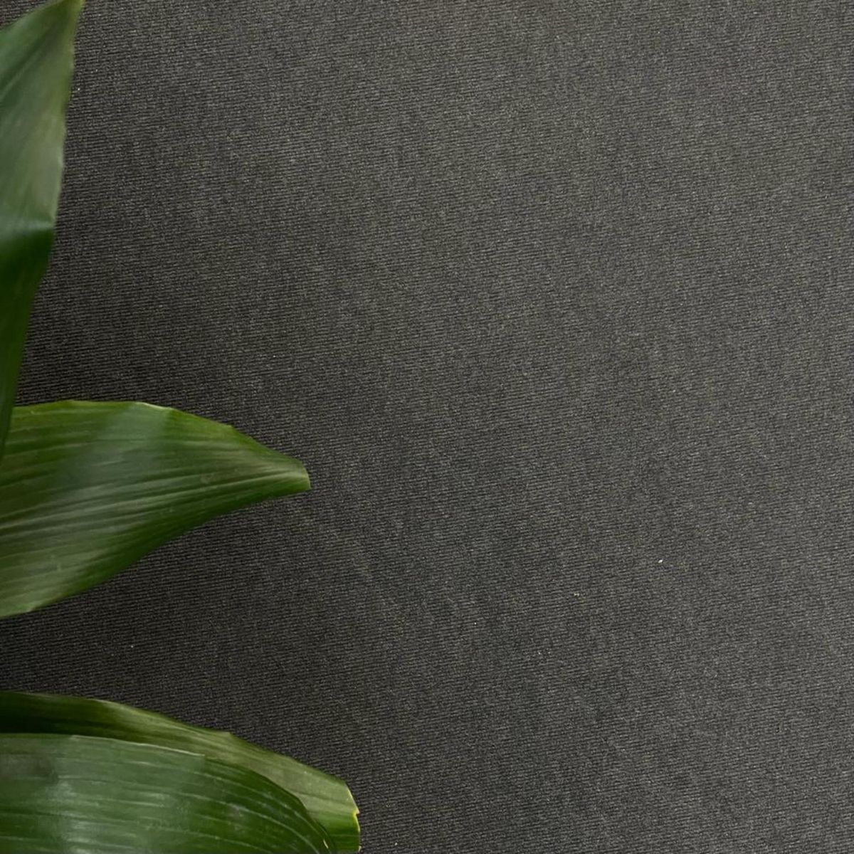 GEOTEX - Cubrepiso rollo gris oscuro 40m2 10x4mts