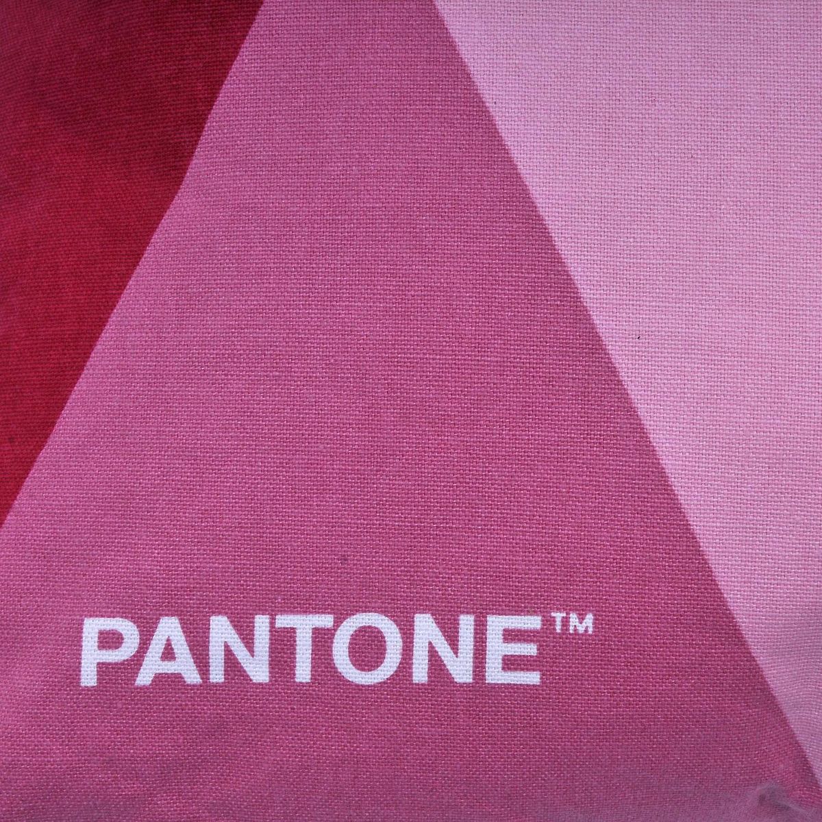 PANTONE - Cojín pantone algodon 40x40 cm burdeo