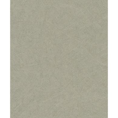 Papel mural Concrete 520279