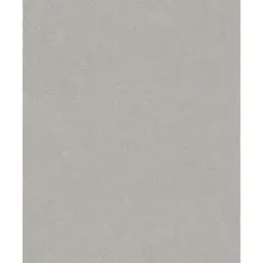 RASCH - Papel Mural Concrete 520255 5 m2
