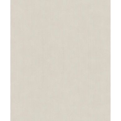 Papel mural Concrete 521474