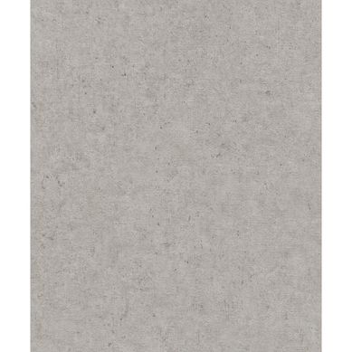 Papel mural Concrete 520866