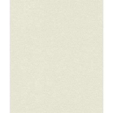 Papel mural Concrete 554410