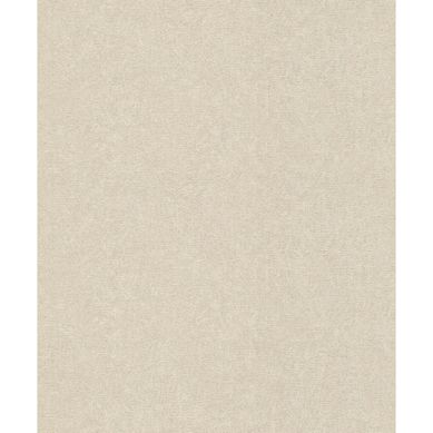 Papel mural Concrete 554458