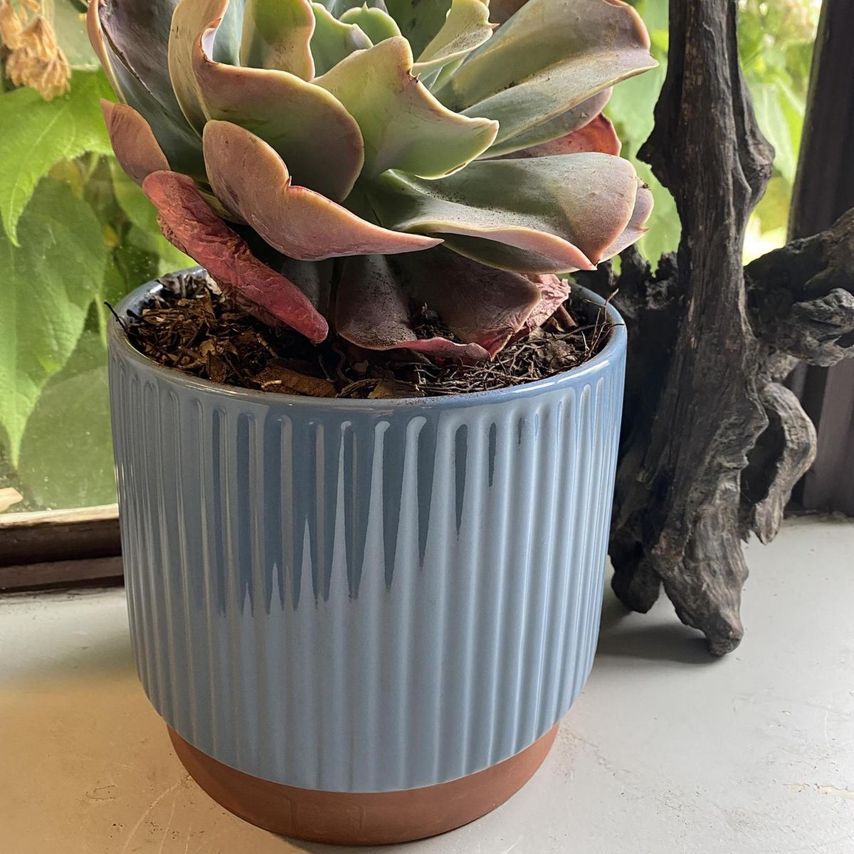 DECOGREEN - Macetero Enlozado de Arcilla x20 cm Azul