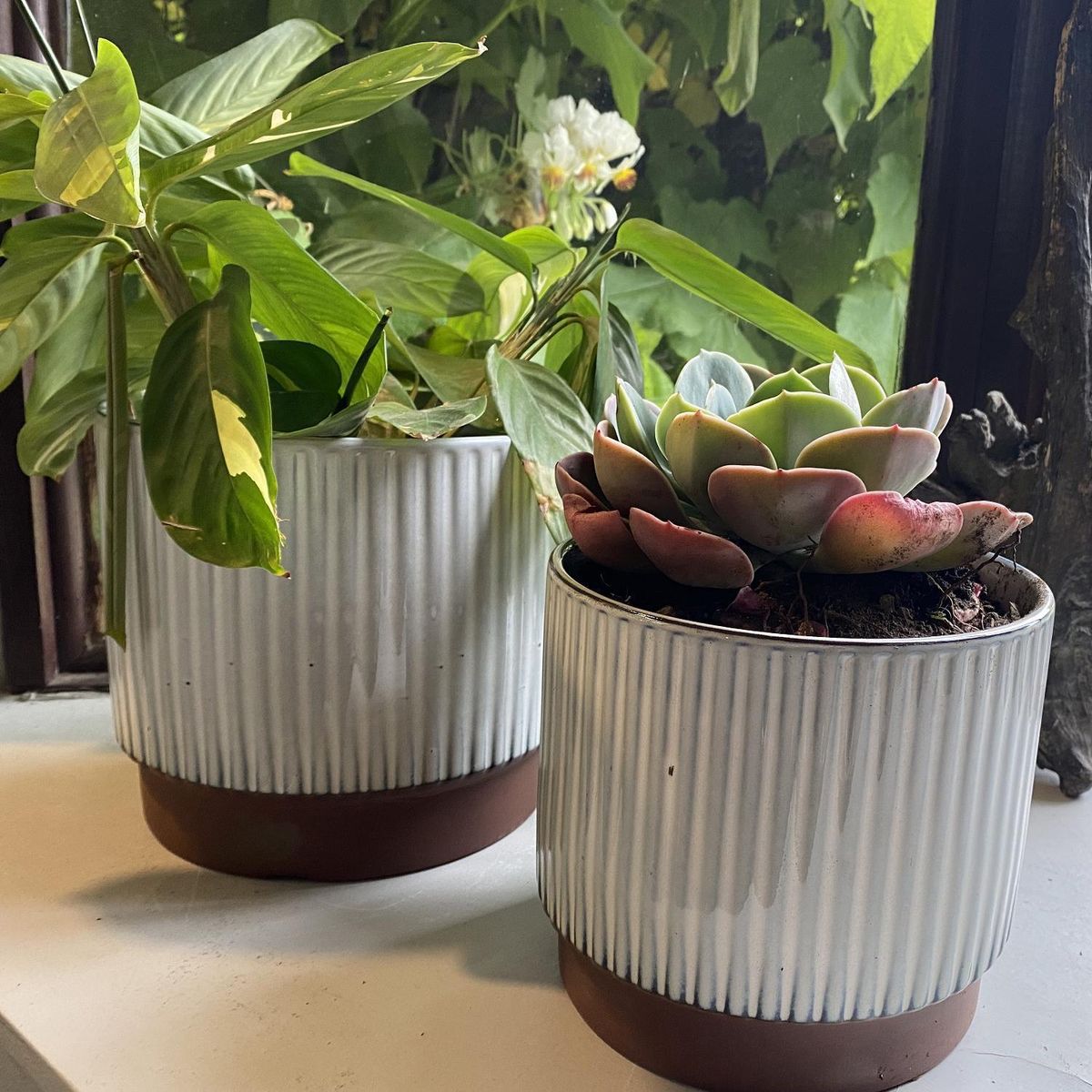 DECOGREEN - Macetero Enlozado de Arcilla 15x17 cm Blanco