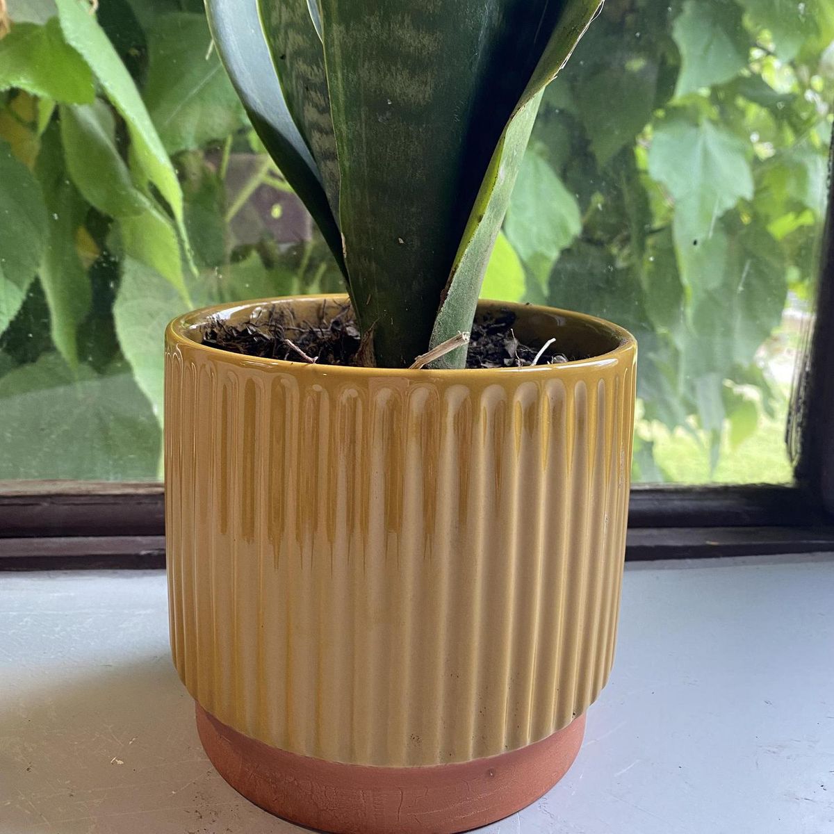 DECOGREEN - Macetero Enlozado de Arcilla 14x20 cm Mostaza