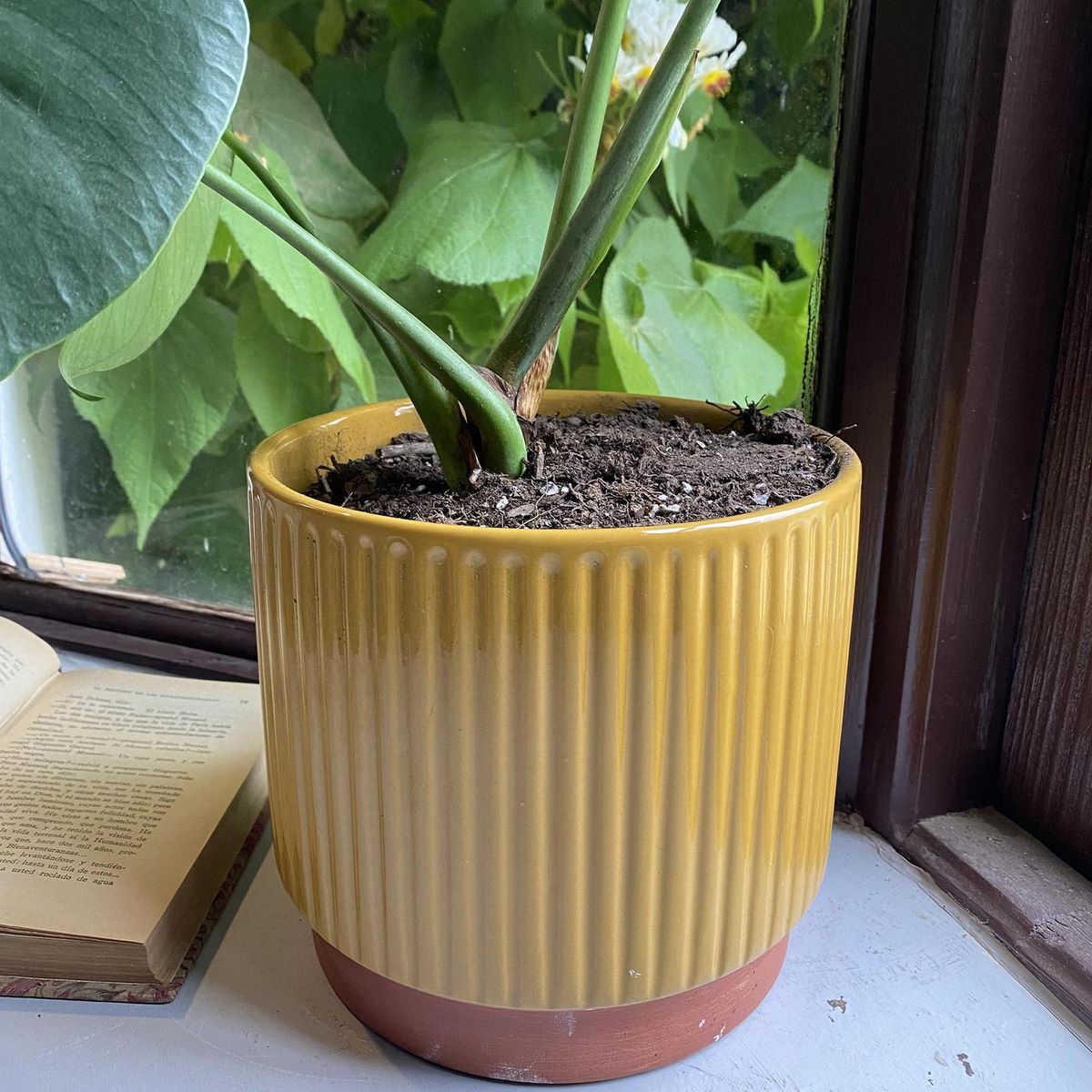 DECOGREEN - Macetero Enlozado de Arcilla 20x18 cm Mostaza