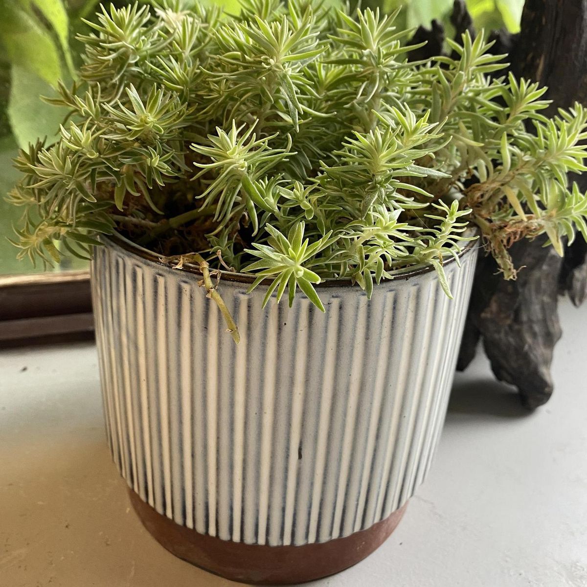 DECOGREEN - Macetero Enlozado de Arcilla 12x14 cm Blanco