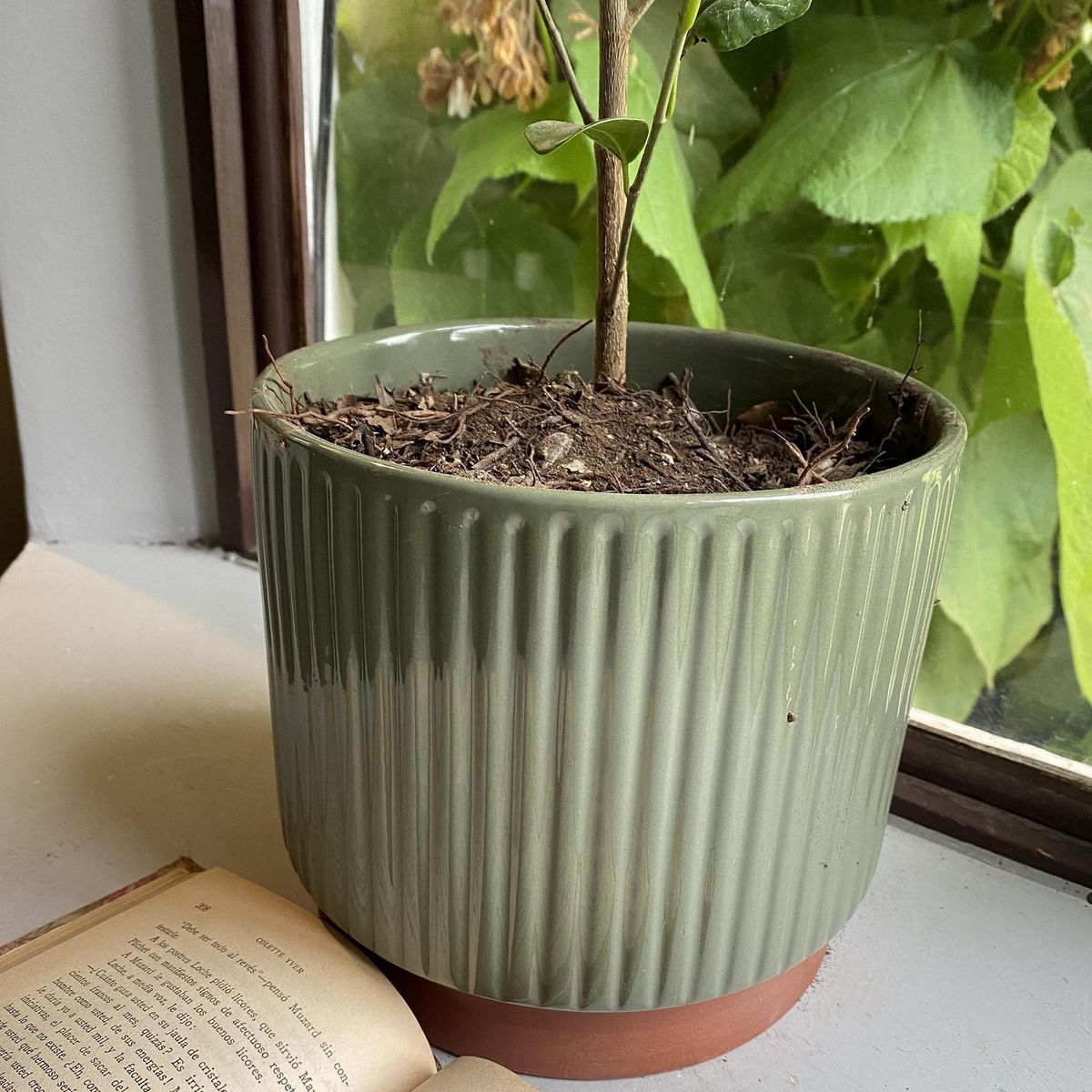 DECOGREEN - Macetero Enlozado de Arcilla 20x18 cm Oliva