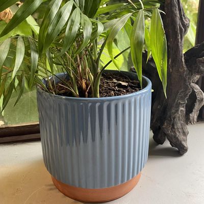 Imagen 2 del producto Macetero Enlozado de Arcilla 12x14 cm Azul