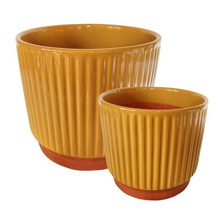 Set 2 Maceteros Enlozados Mostaza 14x12 y 20x18