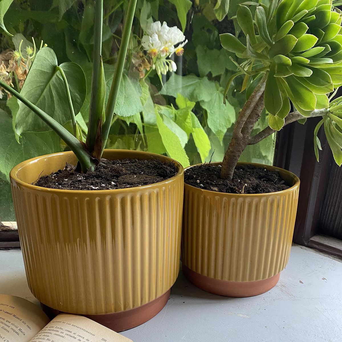 DECOGREEN - Set 2 Maceteros Enlozados Mostaza 14x12 y 20x18