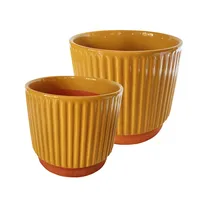 Set 2 Maceteros Enlozados Mostaza 14x12 y 17x15