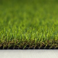 Pasto Sintético Garden 25 mm 2x4 metros