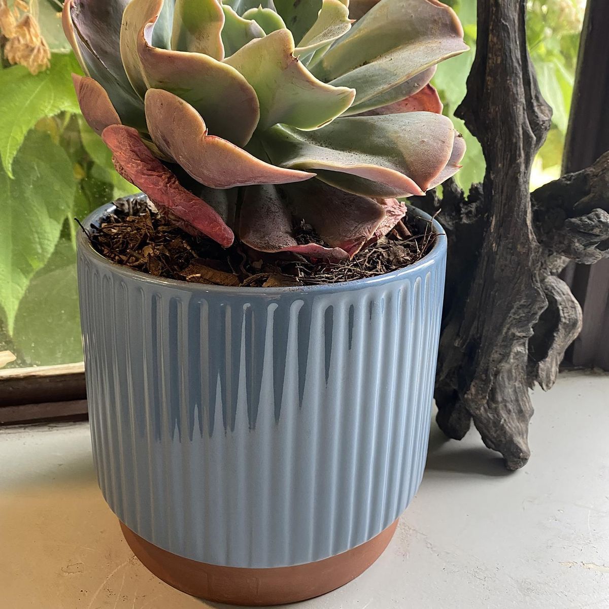 DECOGREEN - Set 2 Maceteros Enlozados Azul 17x15 y 20x18