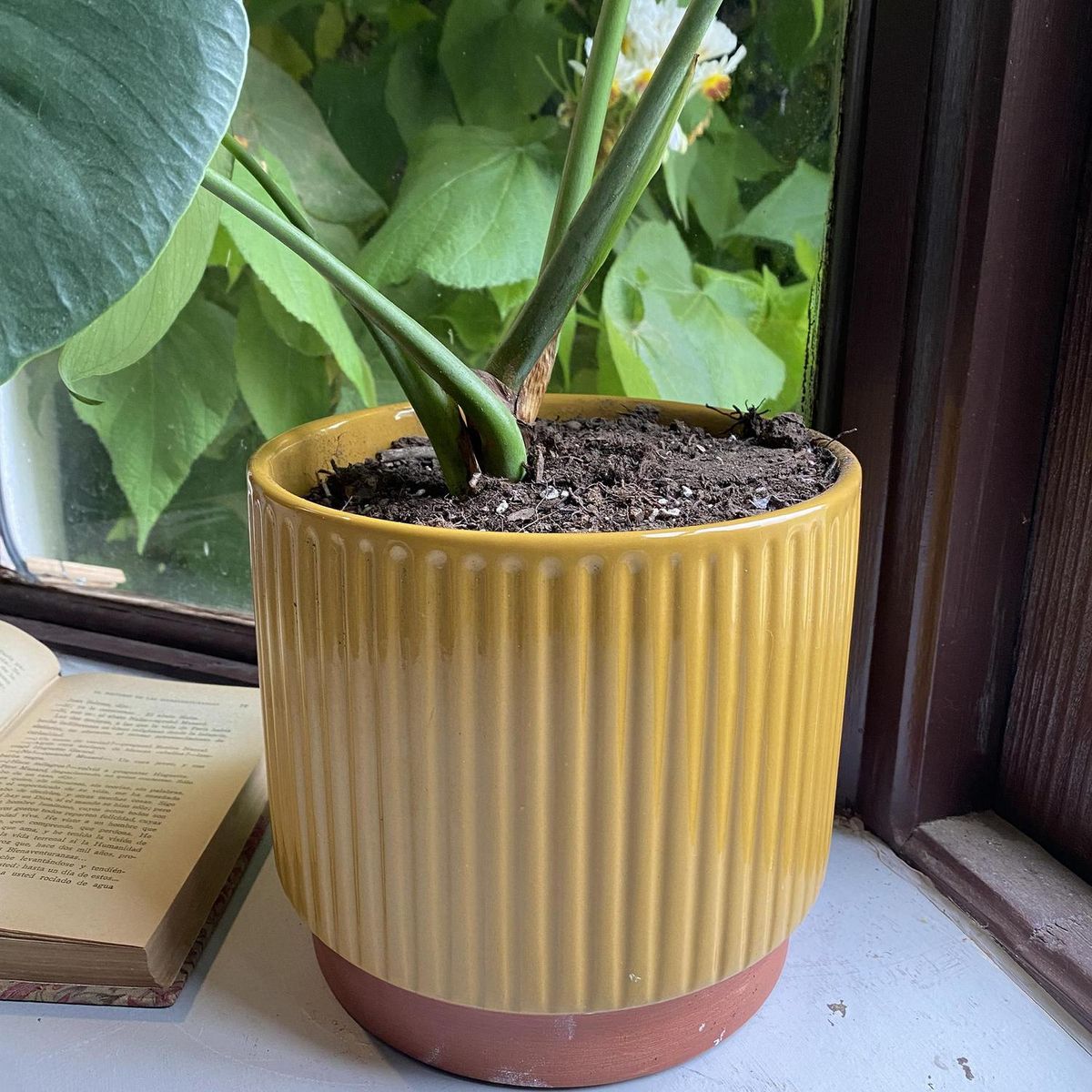 DECOGREEN - Set 3 Maceteros Enlozados Mostaza 14x12, 17x15 y 20x18