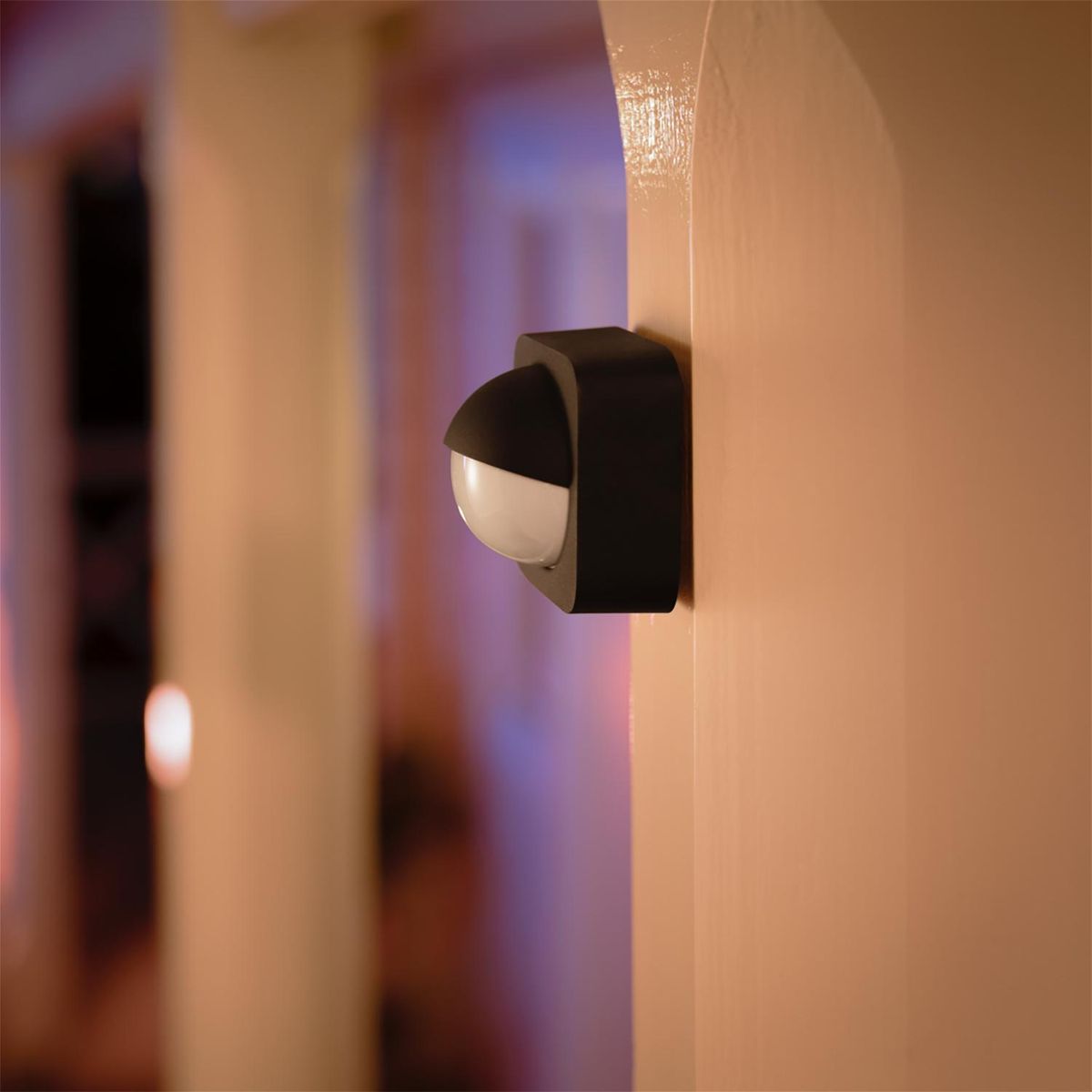 PHILIPS HUE - Sensor de Movimiento para Exteriores 