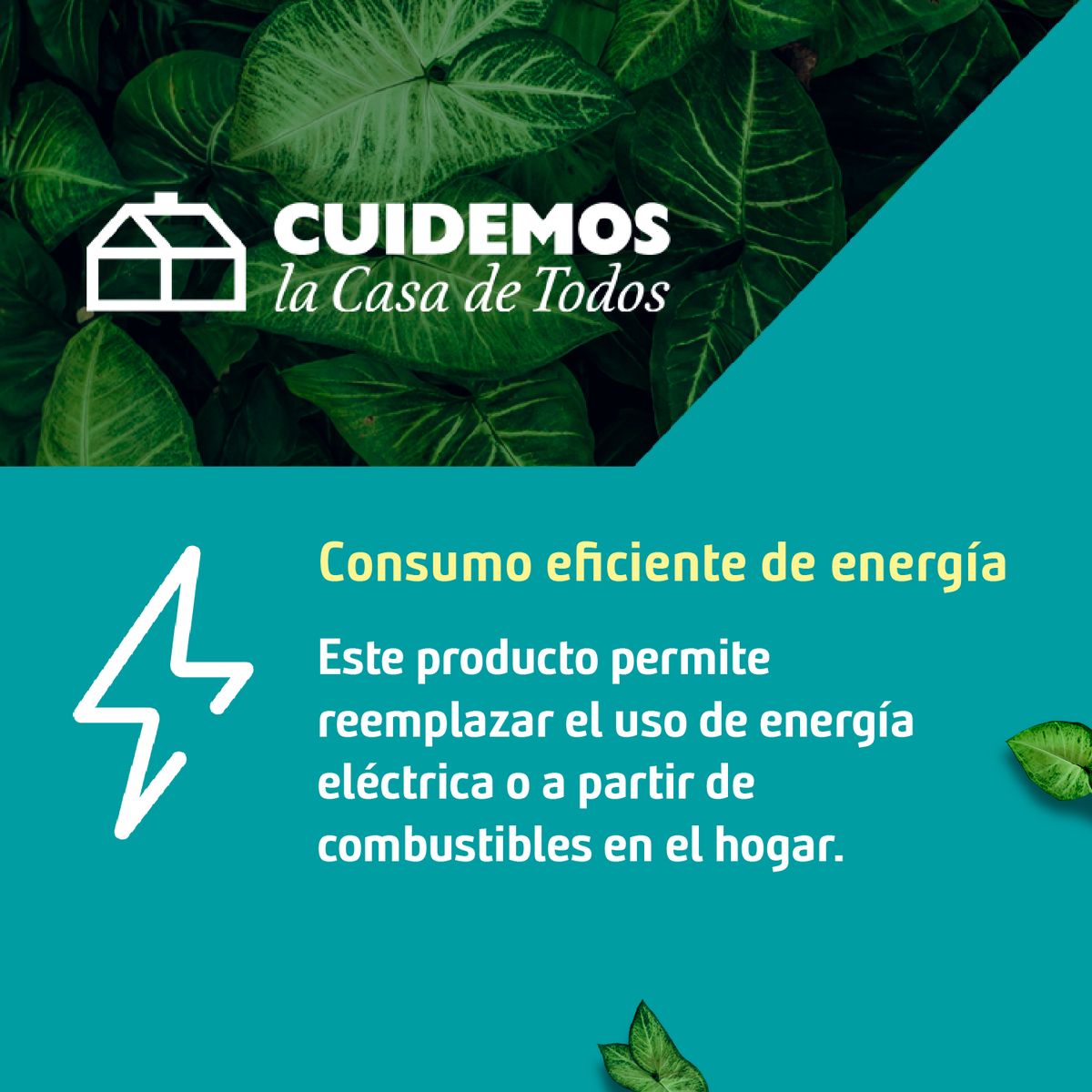 BP ILUMINACION - Estaca Solar Led Petit 0.5 W IP 44 15 lm Luz Cálida