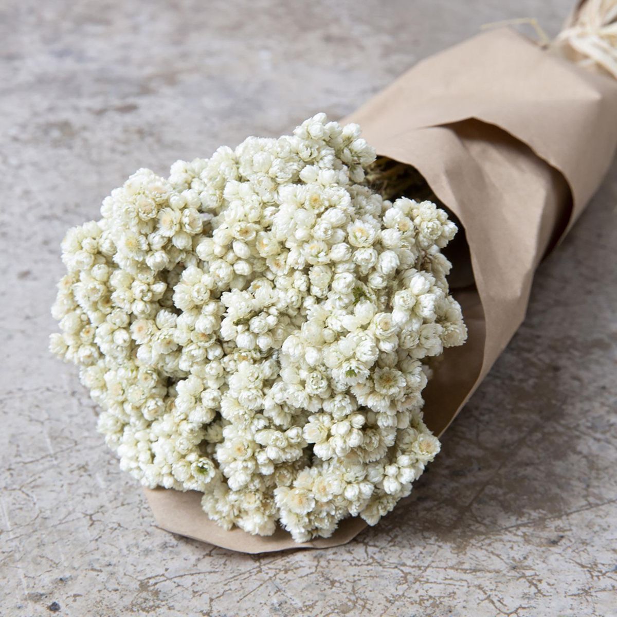 KELIM CASA GITANA - Flores secas ramo de diamantinas