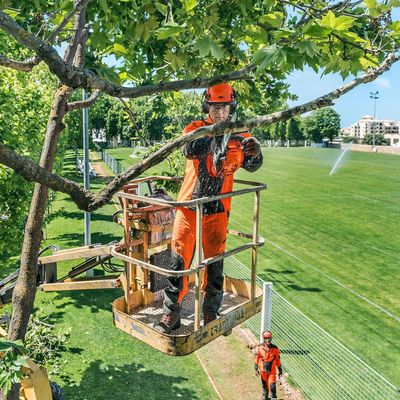 Imagen 2 del producto Motosierra T435 Espada 14""