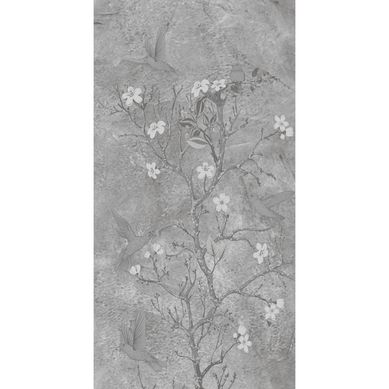 Papel mural colibri - 336