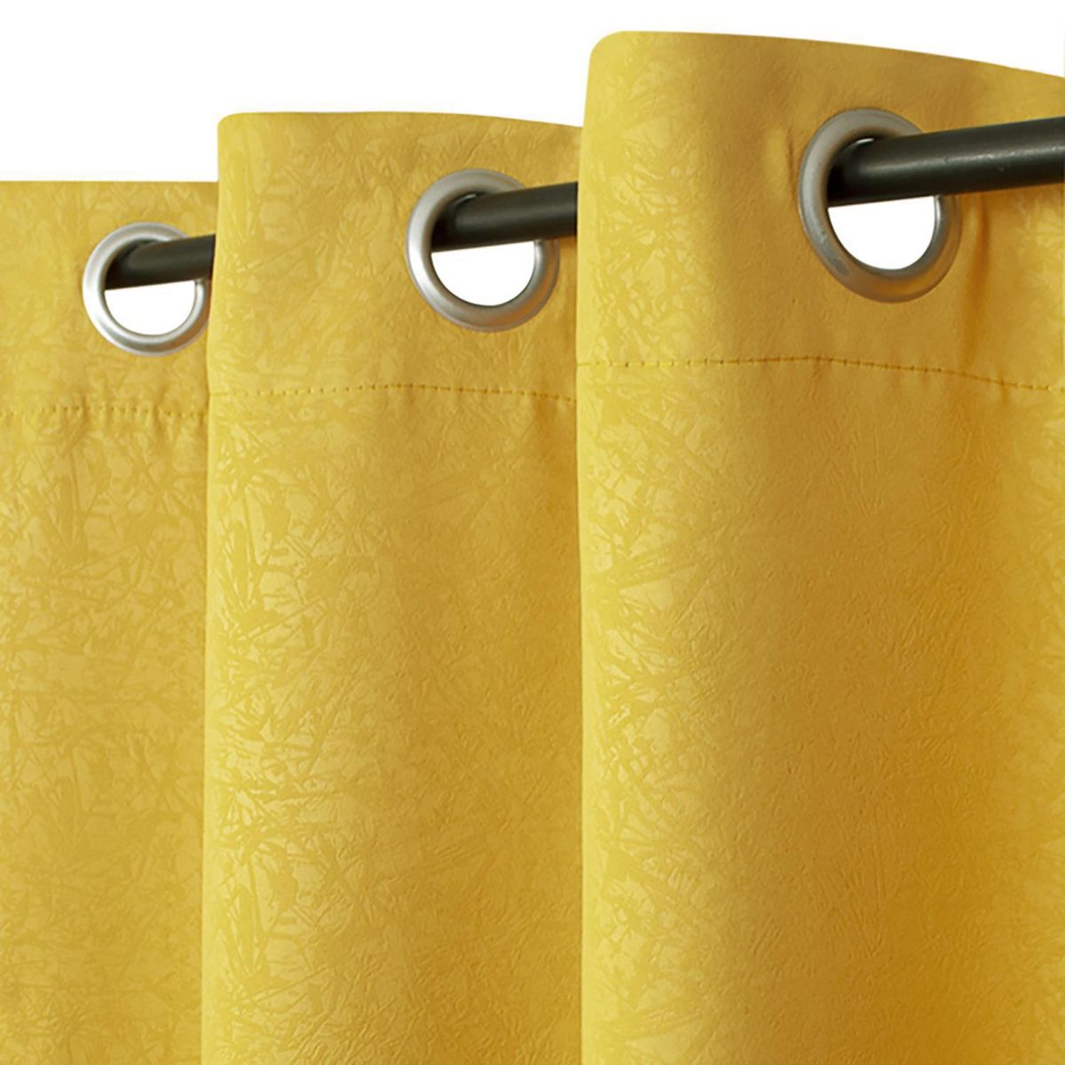 PALERMO - Cortina sun out Livorno 003