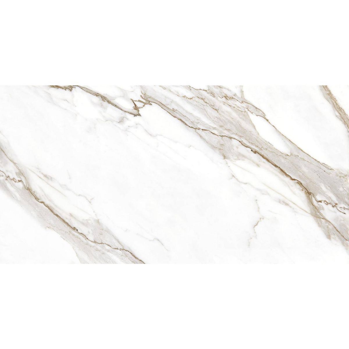 ANTIK - Porcelanato 62x120 cm Calcata premium Blanco 2.26 m2