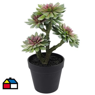 Suculenta Verde 33 cm