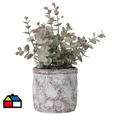 Grass Gris En Macetero 26 cm