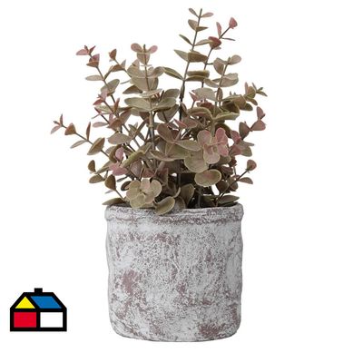 Grass Rosado En Macetero 26 cm