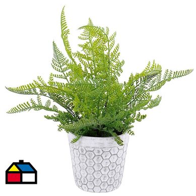 Helecho Verde En Macetero De Cemento 35 cm