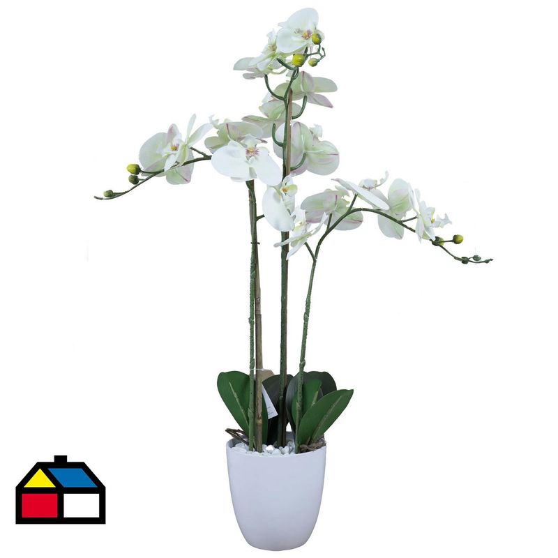 THE GREEN ELEMENT - Orquidea Blanca En Macetero