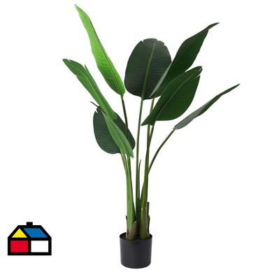 Bird Of Paradise 117 cm