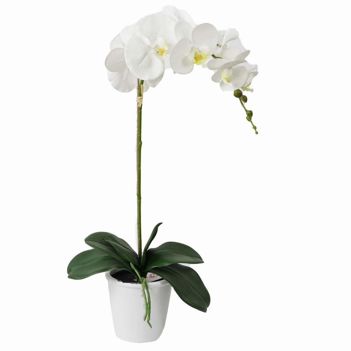 THE GREEN ELEMENT - Planta Artificial Orquídea en Macetero 63 cm Blanco