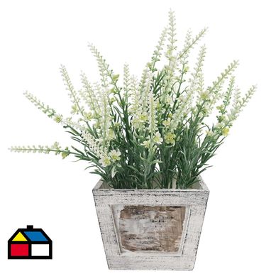 Lavanda Blanca En Macetero De Madera 32 cm