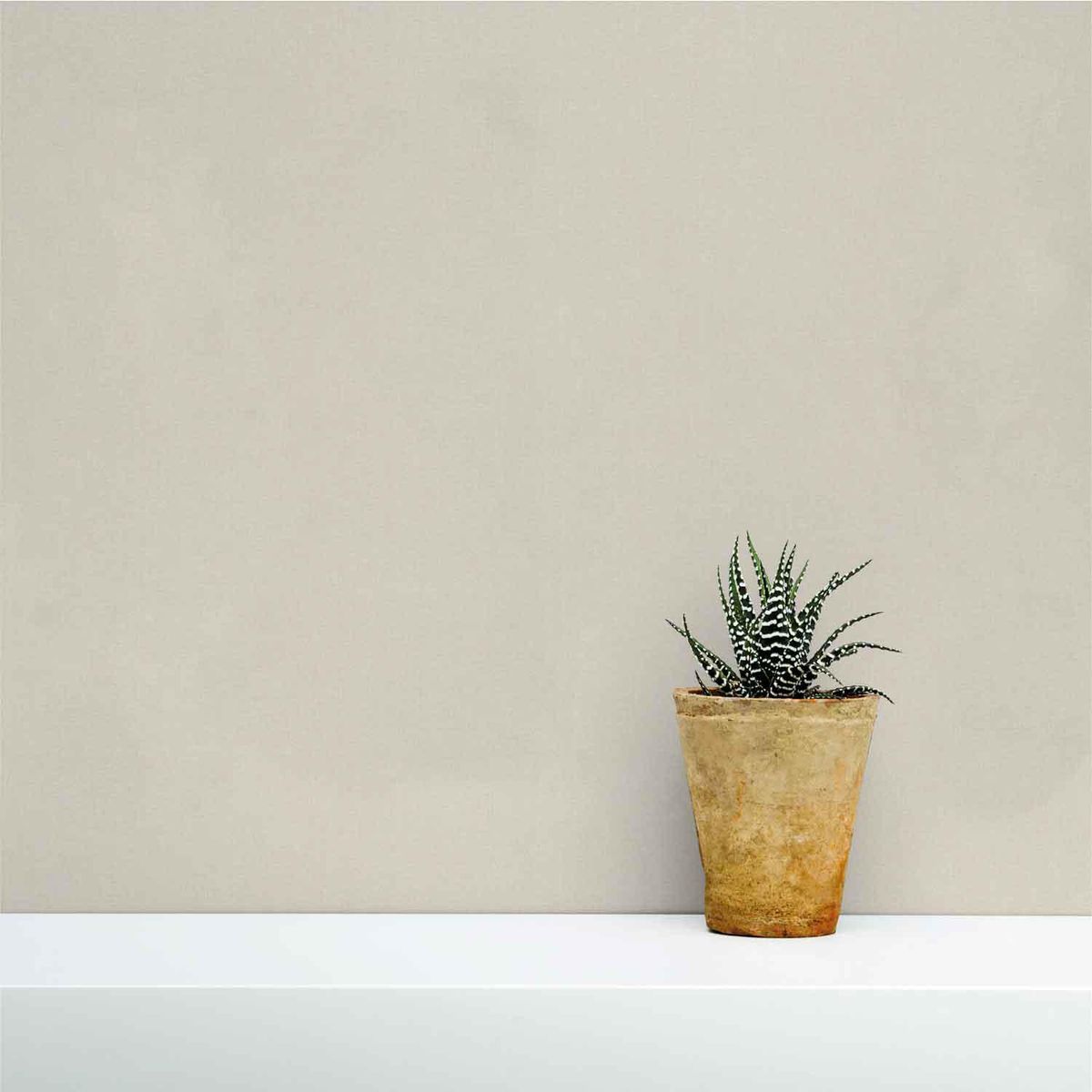 DAP - Papel Mural Nomad PP1102 5,3 m2