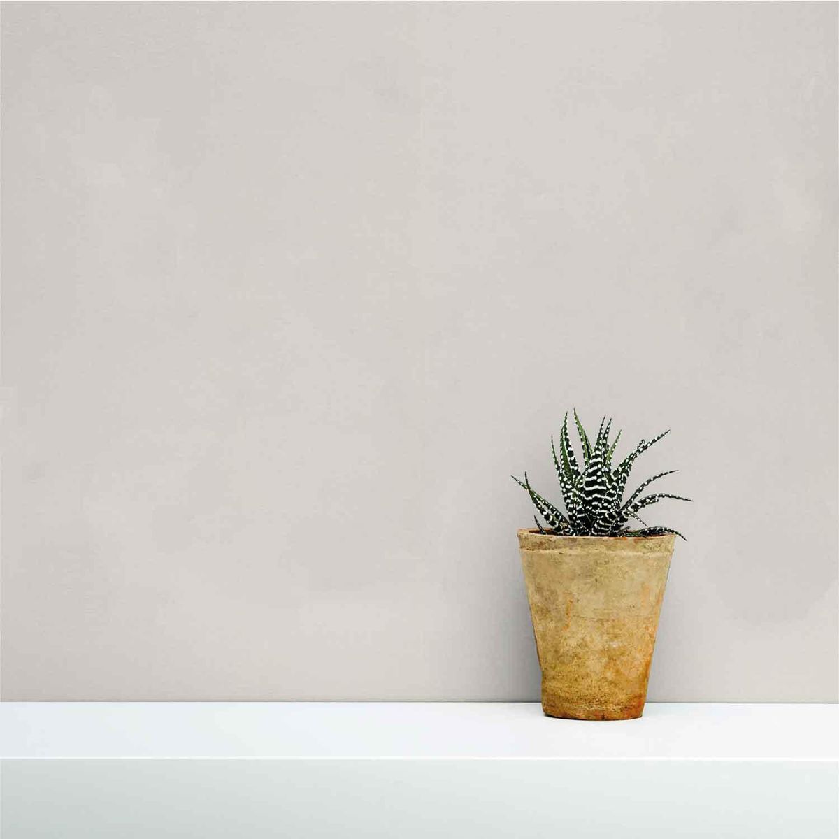 DAP - Papel Mural Nomad PP1101 5,3 m2