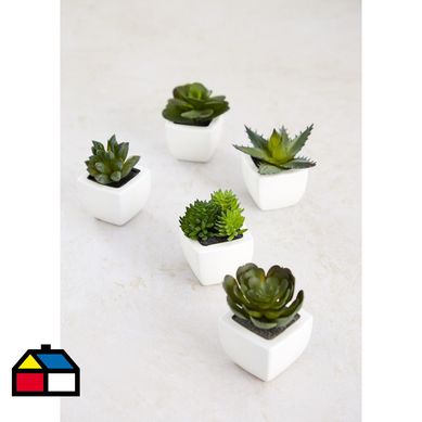 Planta surtido suculenta artificial 5x5x9cm