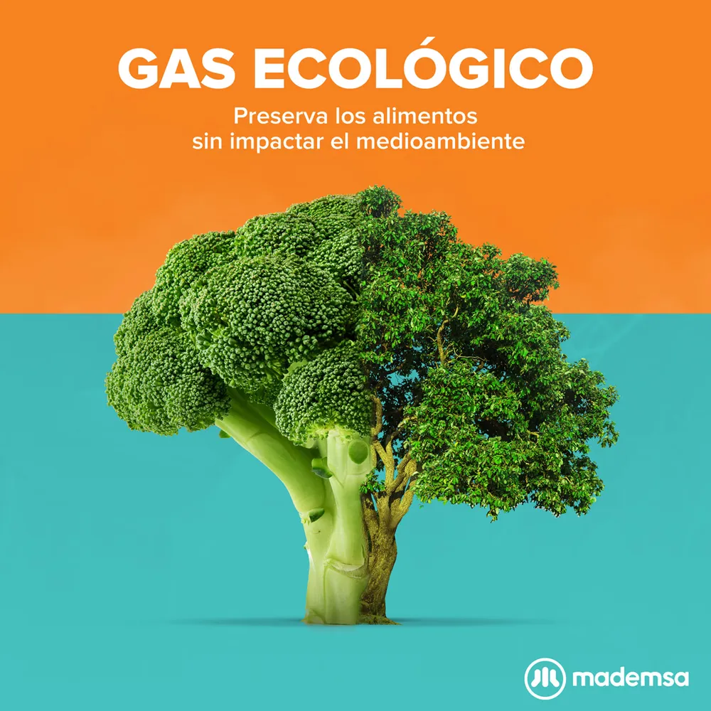 Mademsa M-265V Inox, foto 4