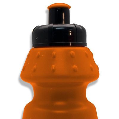 Imagen 2 del producto Botella Plástico 300 ml de Dragon Ball Z