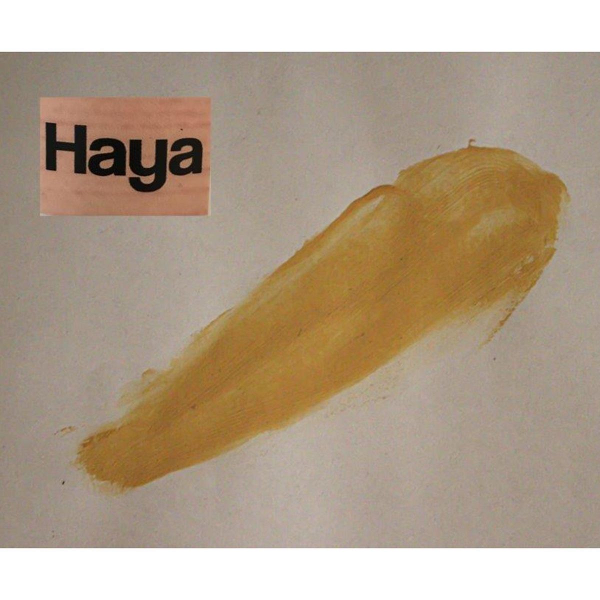 FUNKTION - Masilla Repara 0.2 kg Haya