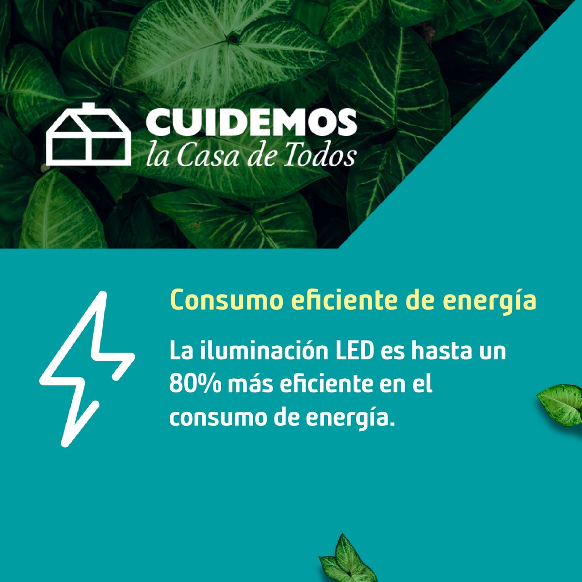 BP ILUMINACION - Undercabinet Closet Puerta 2 Unidades Plástico 