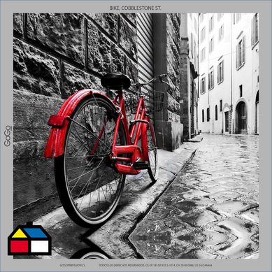 Canva bicicleta deco 38x38x4cm