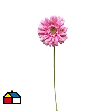 Gerbera artificial 55 cm rosado